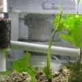 My First Refugium