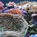 My Nano Cube
