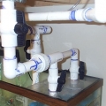 fish_tank_low_res_024