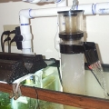 fish_tank_low_res_025