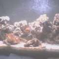 My rock!
