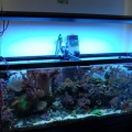 Front Tank Shot With Tek-5
