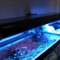 Angled Front View Tek-5
