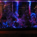 FRESHWATER TANK