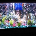FRESHWATER TANK