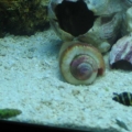 Part of my cleaning crew