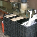 my sump and skimmer