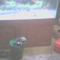 My new tank!