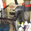 sump