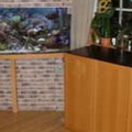 helbild_26_apr