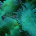 DSCN0226