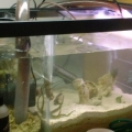 20 Gal Fuge