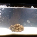 My new nano