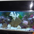 My New 135 gal Reef Setup!!