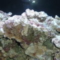 Picture_001