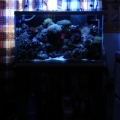 30g setup