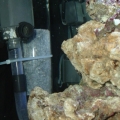 surface skimmer diy