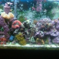 My Tank