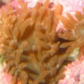 Picture_013