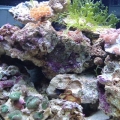 20 nano staying super clean