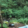 Backpacking through the Smokies