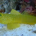 Picture_095
