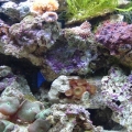 20 cube nano