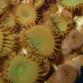 DSCF0711