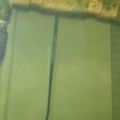 HPIM0171