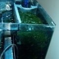 Nanofuge2
