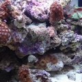20 nano changed around a bit