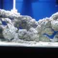 Setting up 75 Gallon in wall