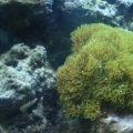 SpecailEd's 55gal