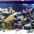 120gal