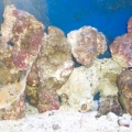 Aquascaping pics before