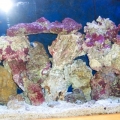 Aquascaping pics after