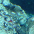 rock2