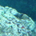 rock3