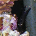 P1010021