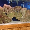 tank5