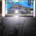 full_view1