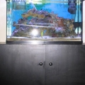 full_view2