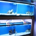 rack_2_IMG