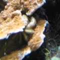 Monti_1_IMG