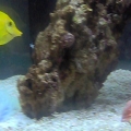 pic 1