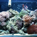 full tank with nanostream