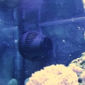 nanostream in tank