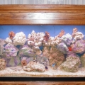 125gal tank custom tank stand