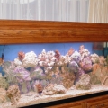 125gal tank custom tank stand