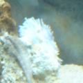 DSC00797